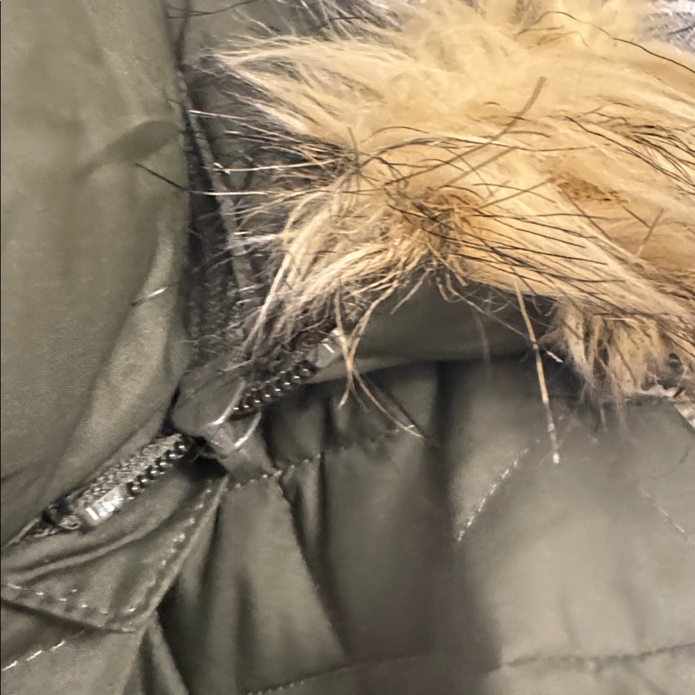 Lauren Ralph Lauren Olive Jacket - Picture 6 of 8